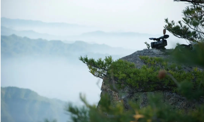 张至顺真人玉蟾宫开示｜太乙金华宗旨｜逍遥诀第八