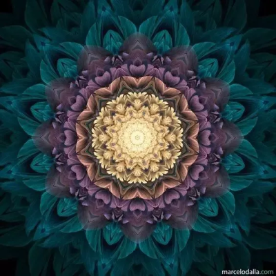 1715411770971084.jpg 193730f6g9fk8hkdj6hzff.png.thumb.jpg