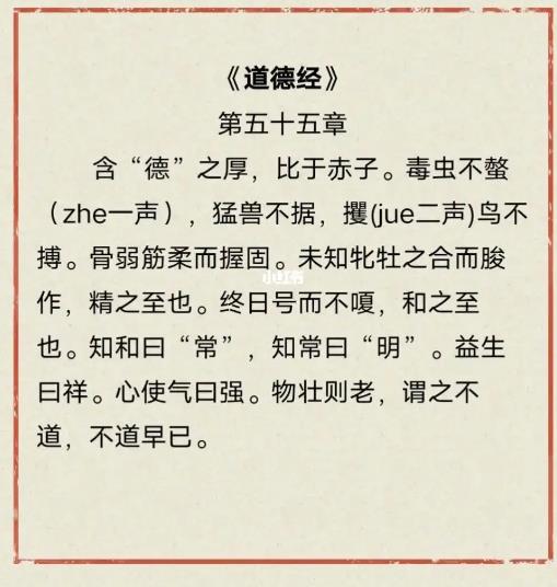 第五十五章·物壮则老·黄紫檀老师点窍道德经