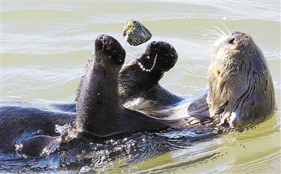 1730788805214273.jpg d7036c9a17f5fda2-677210b4c6871c9a-1538f1ca4c4235a40ae8060787cc4d60.jpg