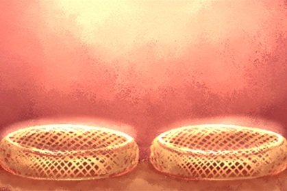 巨蟹座男和射手座女该怎么谈恋爱