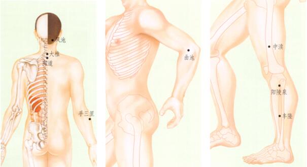 扁平疣刮痧部位